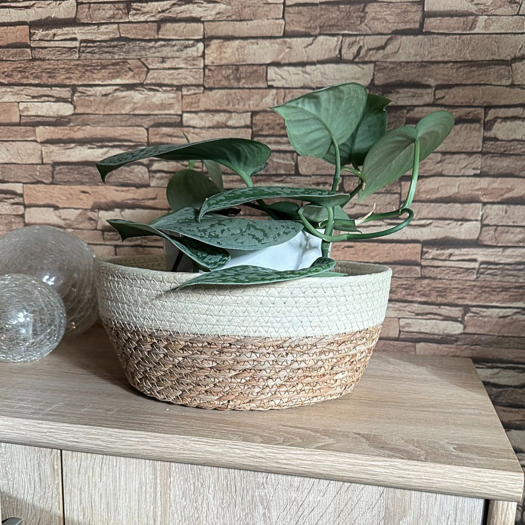 Übersicht der Aufbewahrungsprodukte im warmen Boho-Stil